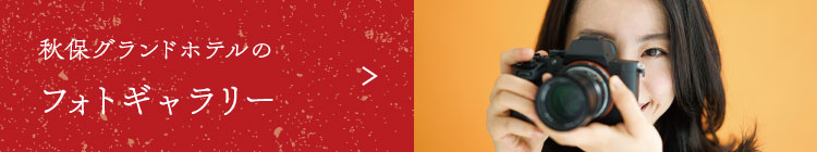 フォトギャラリー